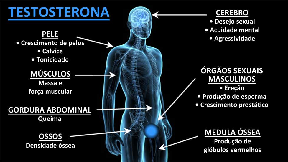 Óleo de coco e azeite - aumenta a tua testosterona