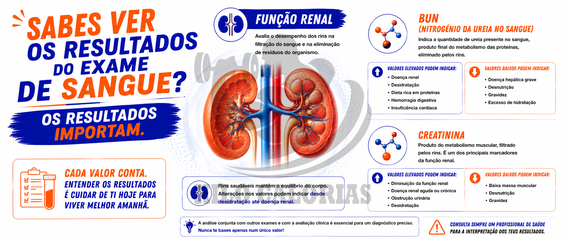 Sabes ver os resultados do exame de sangue Os resultados Importam-funcao-renal