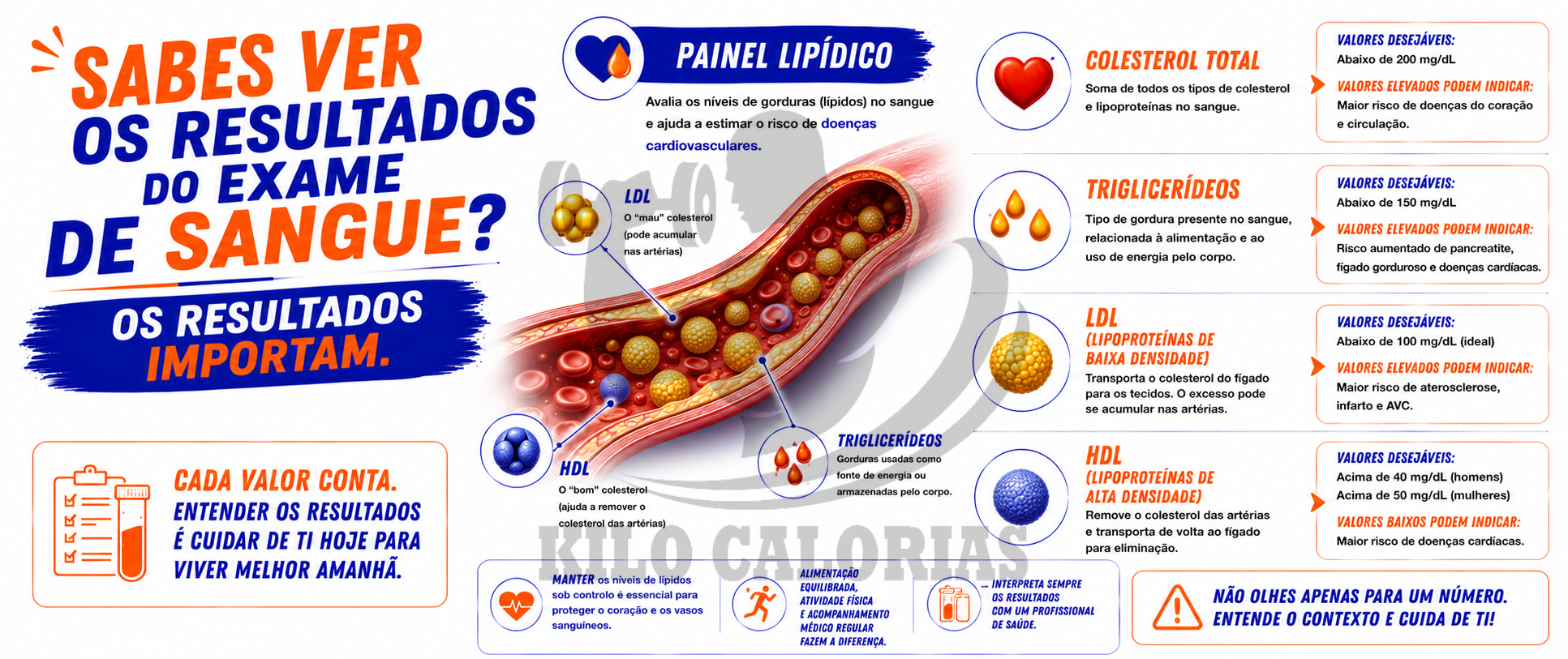 Sabes ver os resultados do exame de sangue Os resultados Importam-painel-lipidico