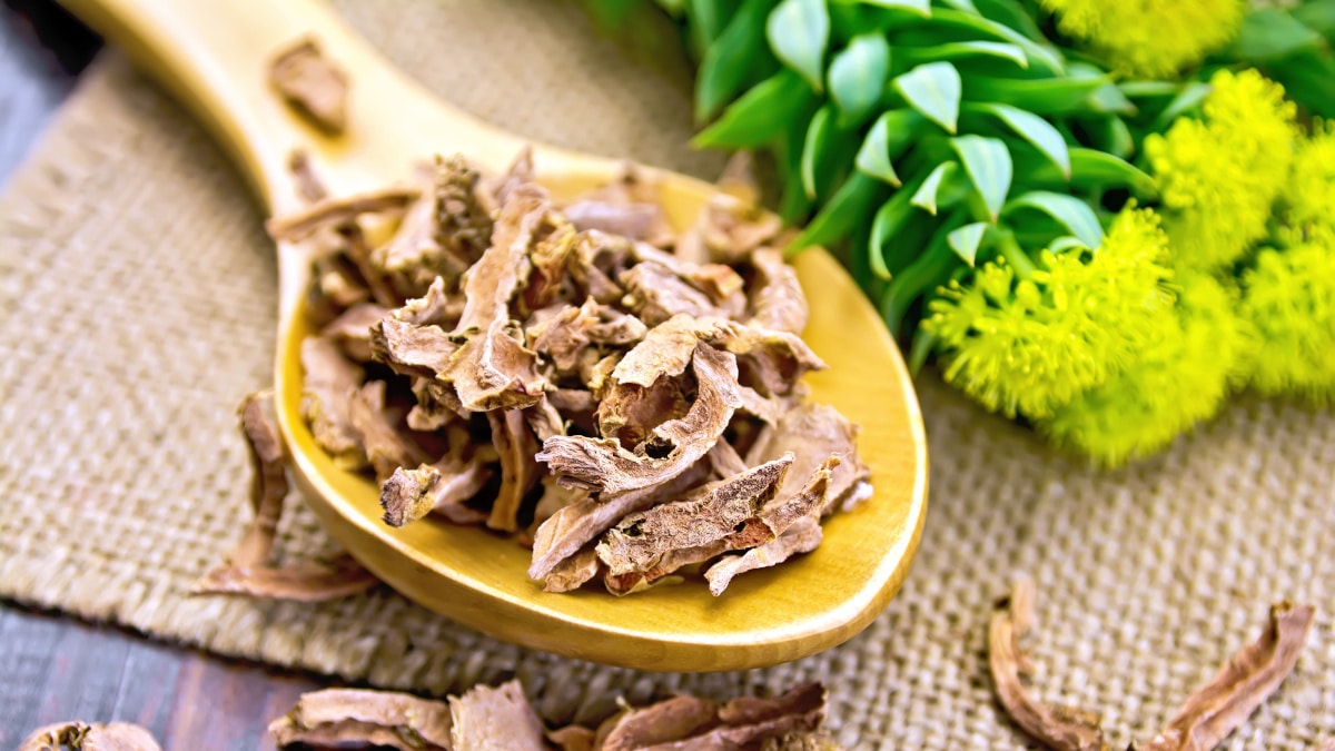 Rhodiola Rosea