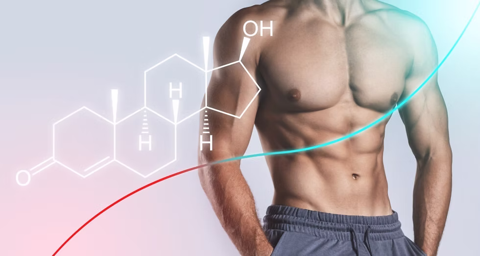 Sermorelin para Muscula&ccedil;&atilde;o: Dosagem, Informa&ccedil;&atilde;o e Desempenho