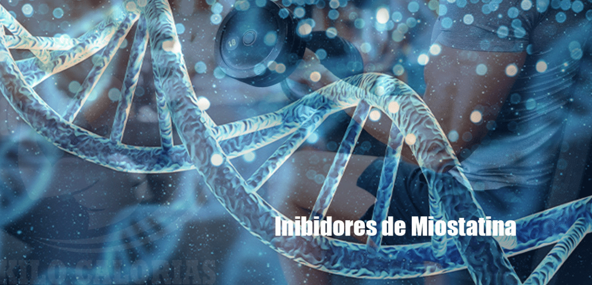 A Ciência e os Benefícios dos Inibidores da Miostatina