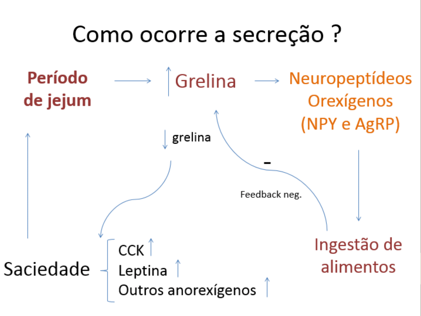 Grelina, a hormona da fome. O que faz a grelina e como controla-la