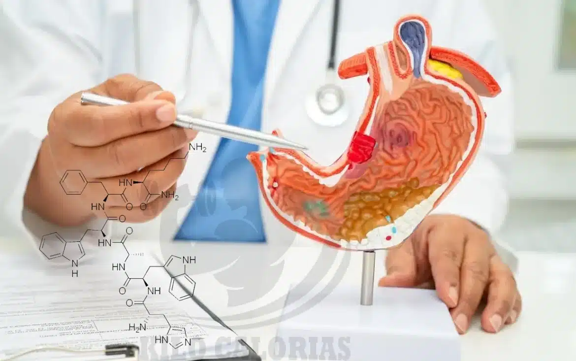 Grelina, a hormona da fome. O que faz a grelina e como controla-la